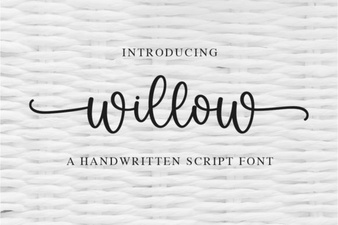 Willow Font: Elegant Typefaces for Design Projects
